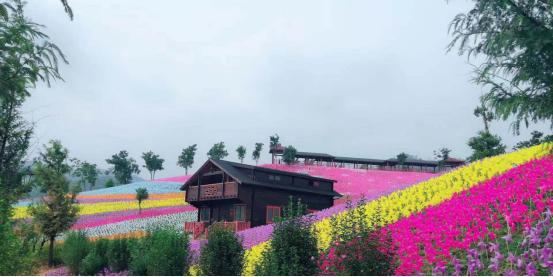 来义乌十几年没发现景色这么美,义乌值得去的自然景点