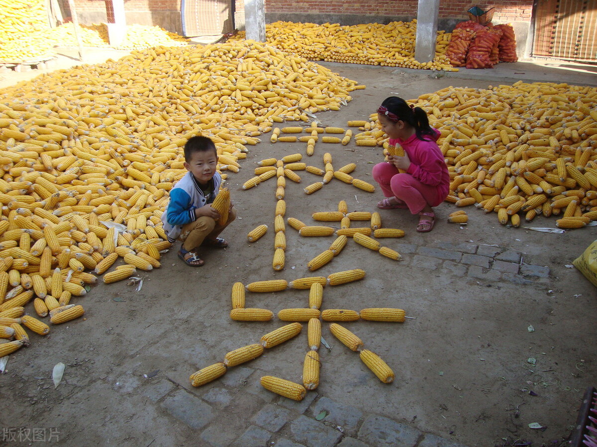 农村俗语“年怕中秋，月怕半；人怕四九，岁怕寒”，为啥？在理吗