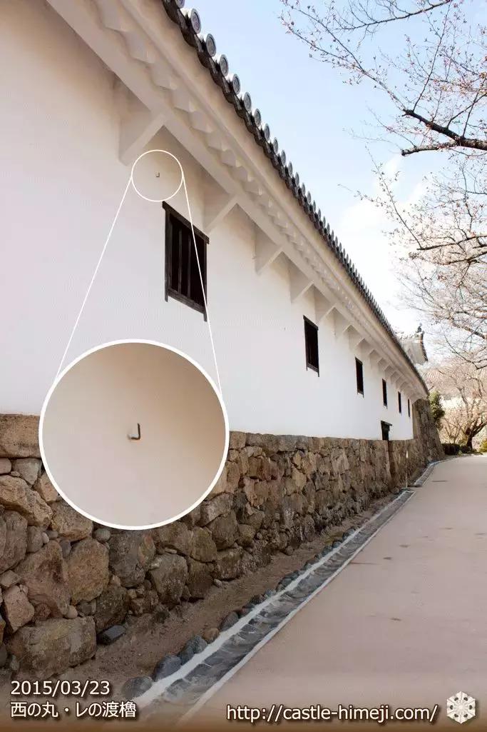 10个让人震惊的冷知识,十个让人惊艳的冷知识