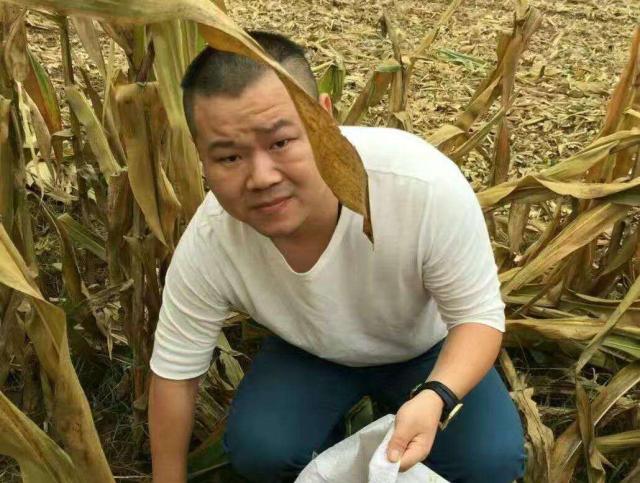 岳云鹏不加王菲好友,王菲加岳云鹏好友