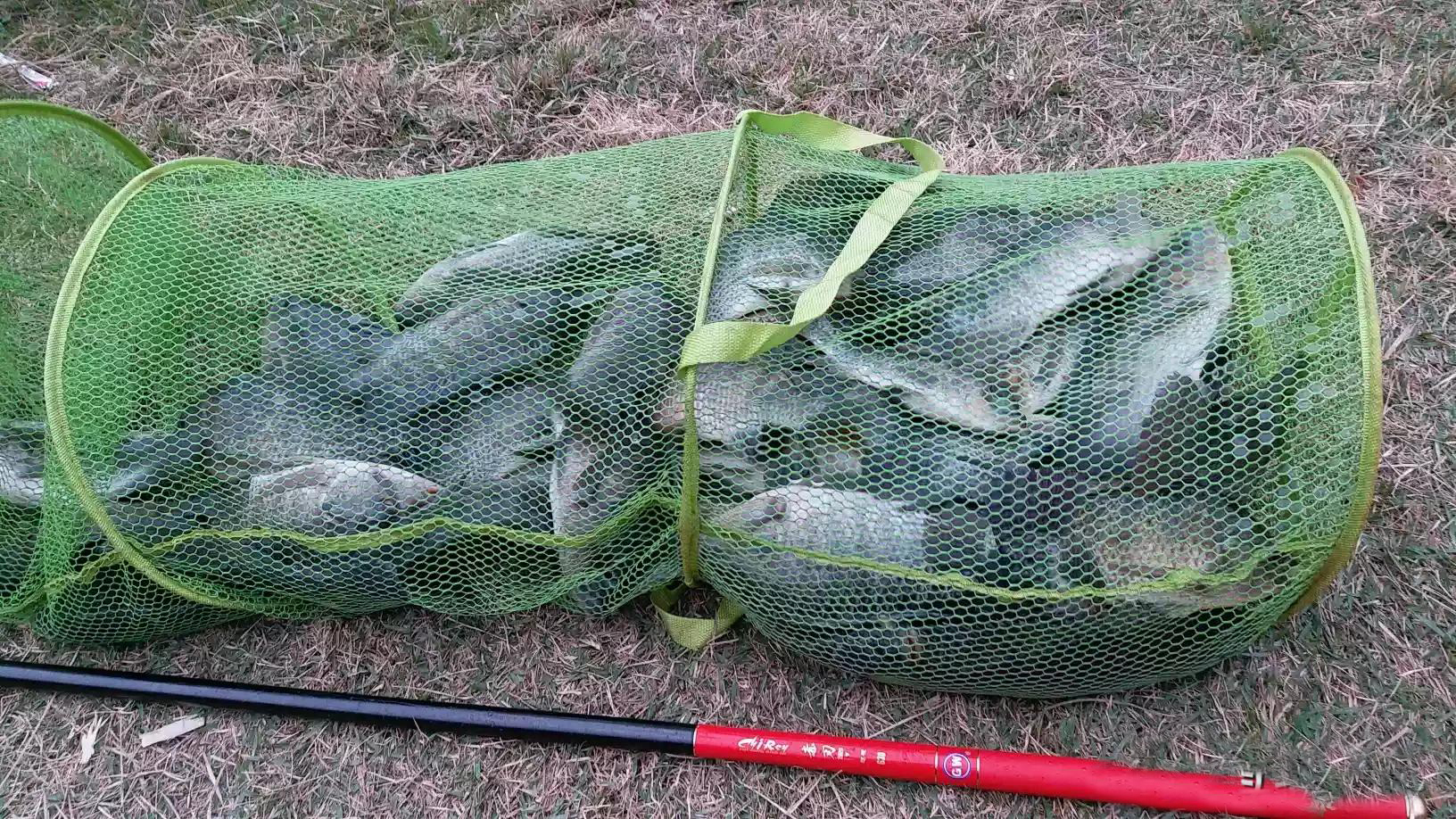 新手小白钓鱼适合什么样的鱼竿,新手买19调还是28调鱼竿好