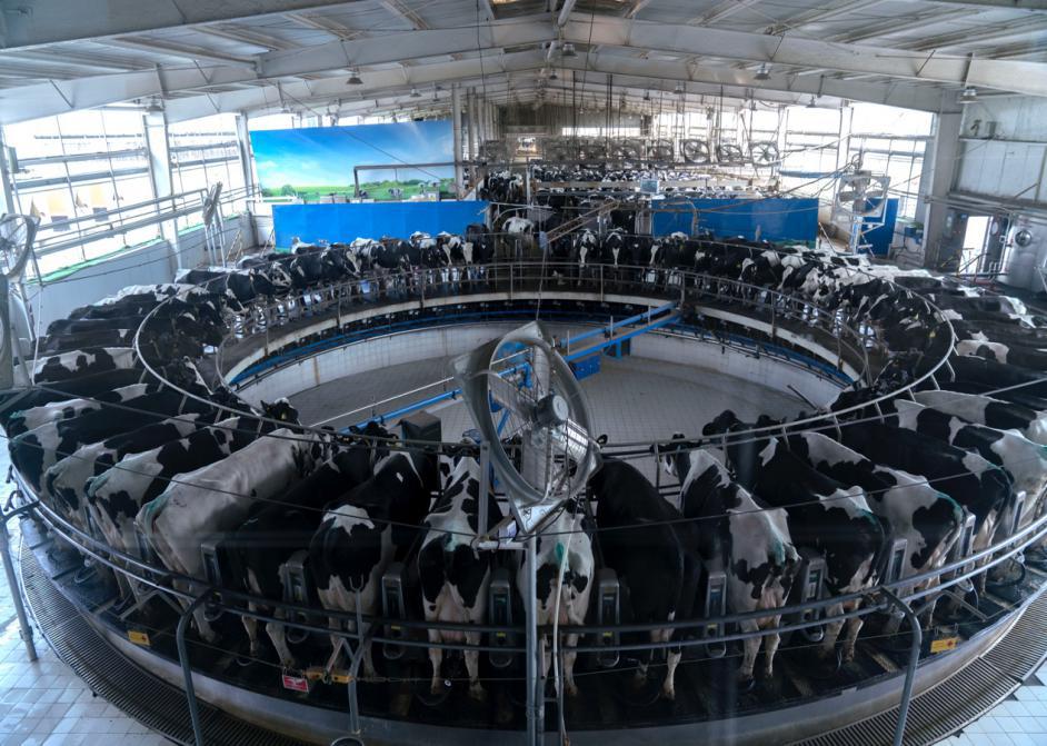 拼多多直播的原理和方法,涨知识分享直播