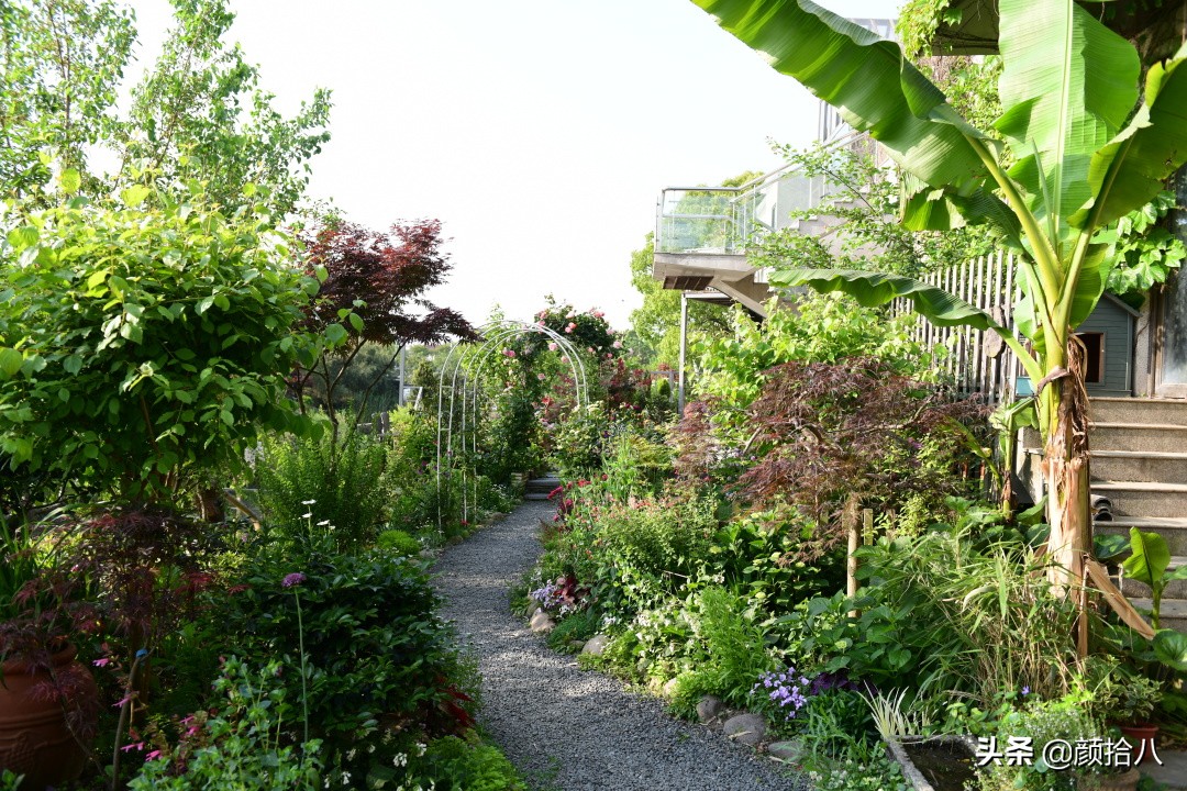 愿时光静止,愿时光静止在这一刻