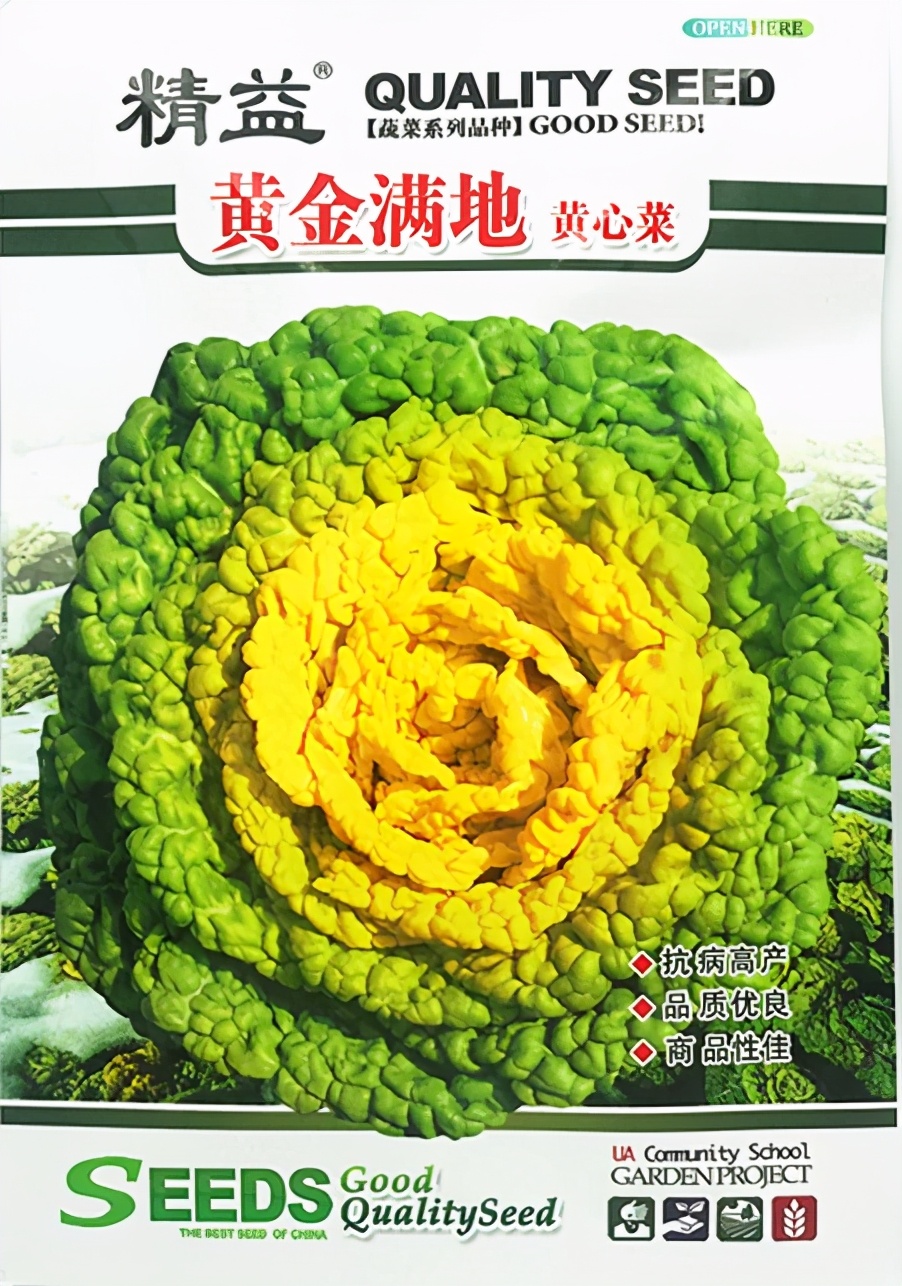 冬至到!这些菜农户都可以种上,不怕冷也冻不死!来年有新鲜菜吃