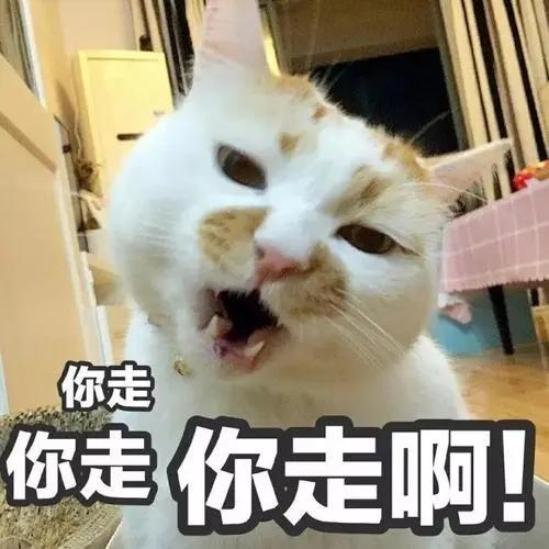 为什么家里的狗狗总是那么凶,狗狗为什么对主人凶