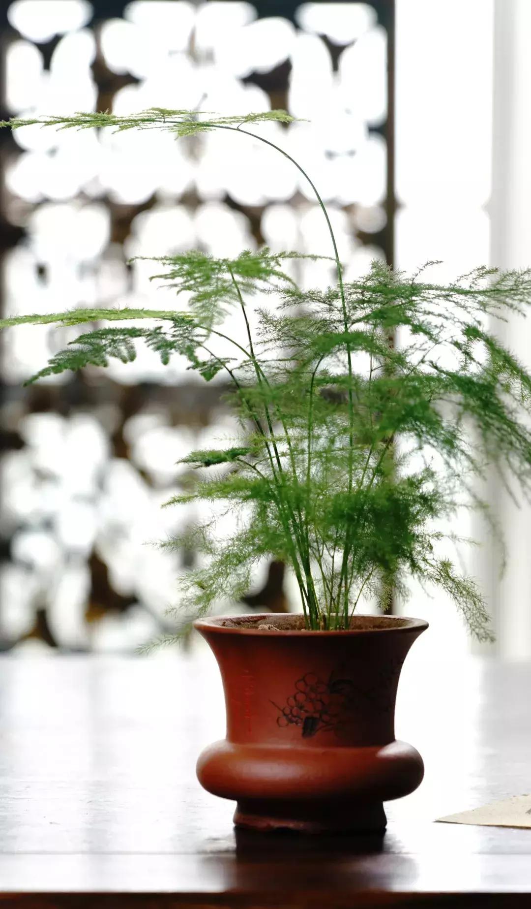 中国历史最高水平40首古诗,千古绝唱十首最经典情感古诗词