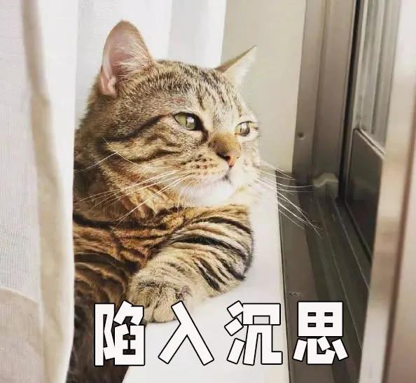 外卖运营技巧看哪些公众号,怎么做外卖公众号和小程序