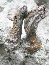 又苦又涩的茶叶,茶叶有点涩怎么解决