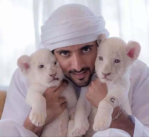 你不知道的冷知识迪拜,迪拜十大冷知识