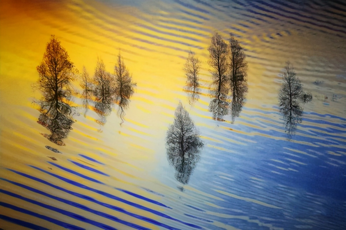 艺术家朗诵不朽的胡杨,千年不朽的胡杨