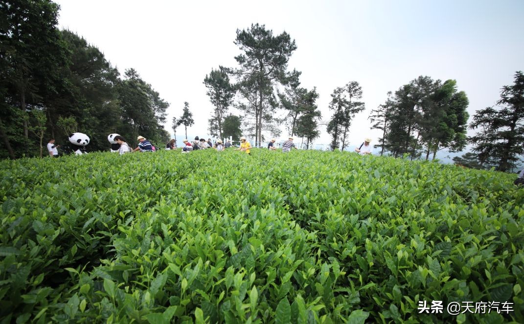 狮意生活,东风标致508l驾趣和驾控版