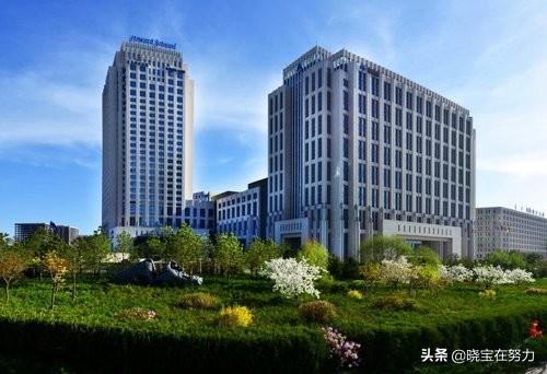 内蒙古规划建五星级酒店,内蒙古蒙古利亚大酒店几星级