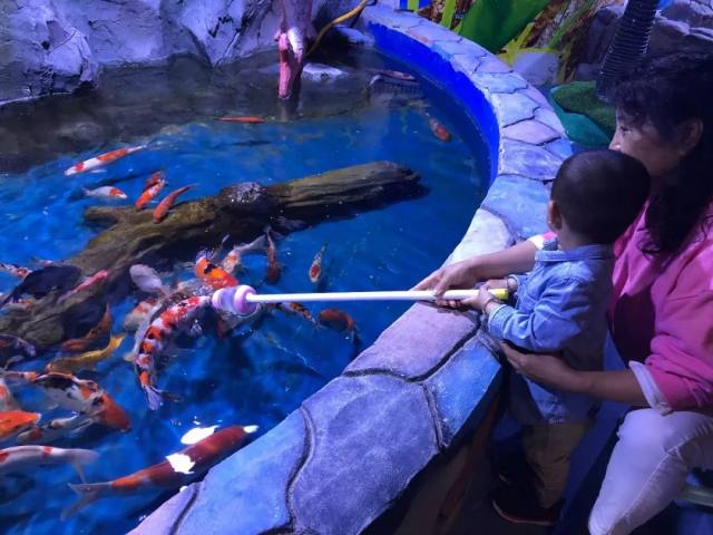 西安白鹿仓欢乐世界,西安曲江极地海洋馆旅游攻略