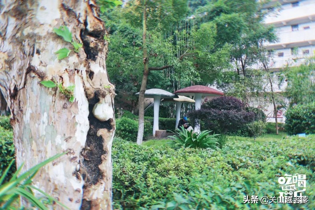 郴州八中在哪里,郴州市八中好不好