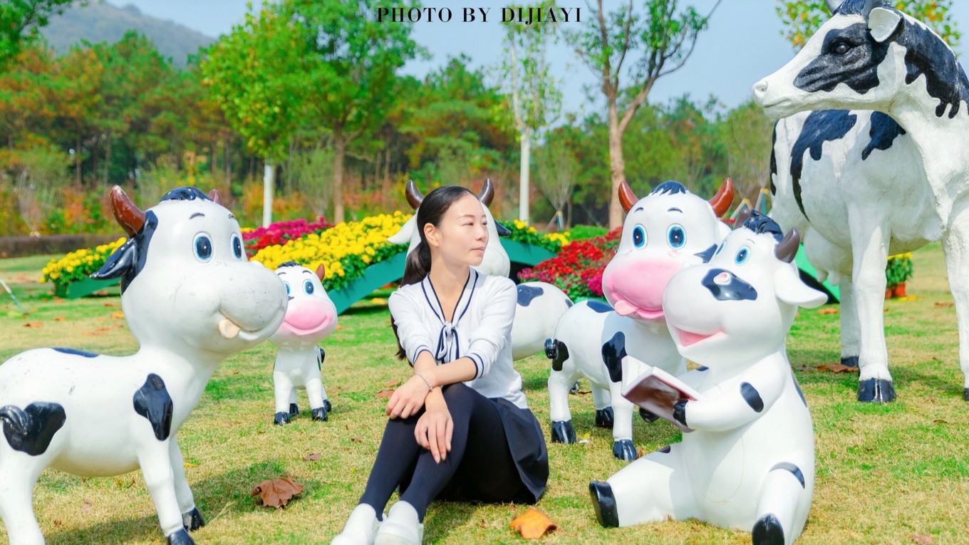 金坛花谷奇缘几月开花,金坛花谷奇缘地图