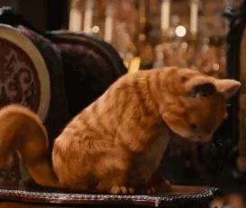 大超测评粉底液,大瓶粉底液推荐油皮持久平价