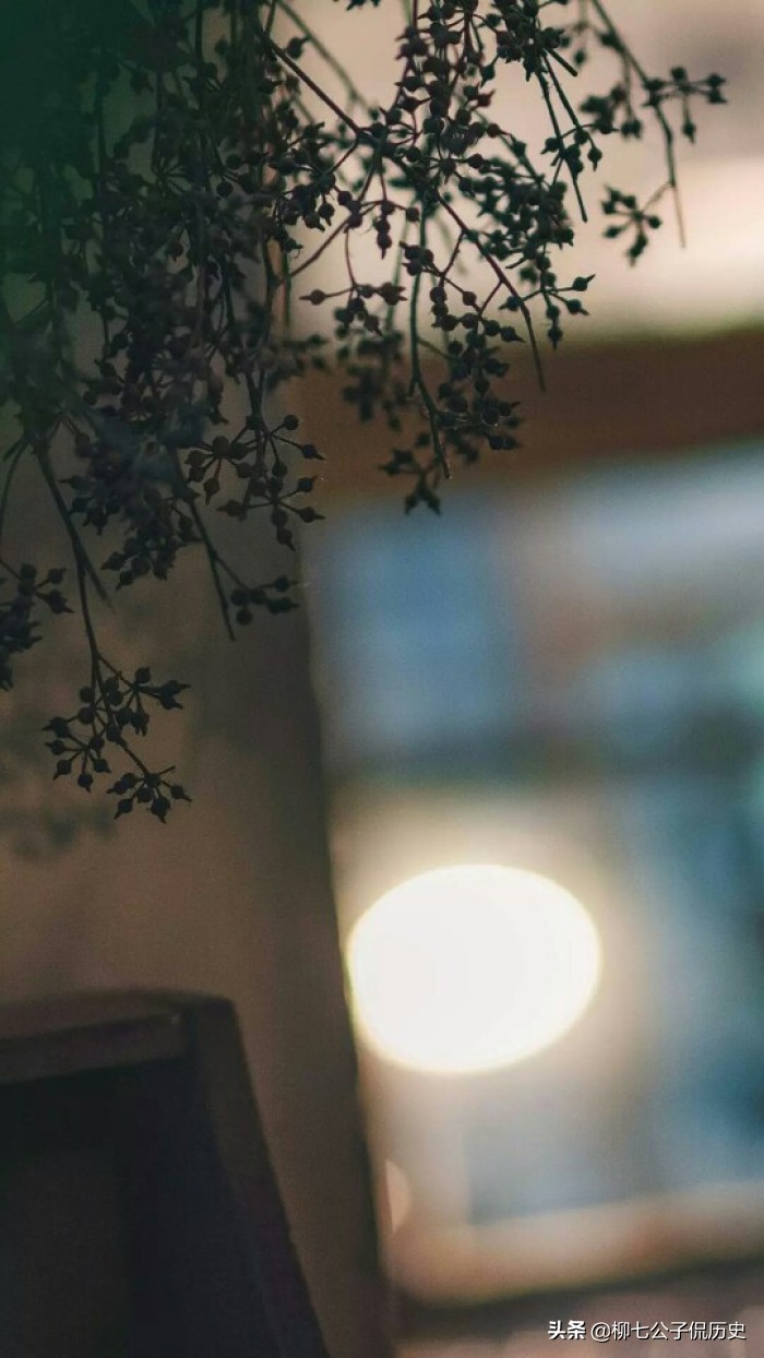 来日方长有多长dj完整版原唱,来日方长有多长粤语版