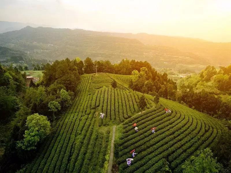 如果你累了就来这座小城吧,如果你累了就来云南吧完整版