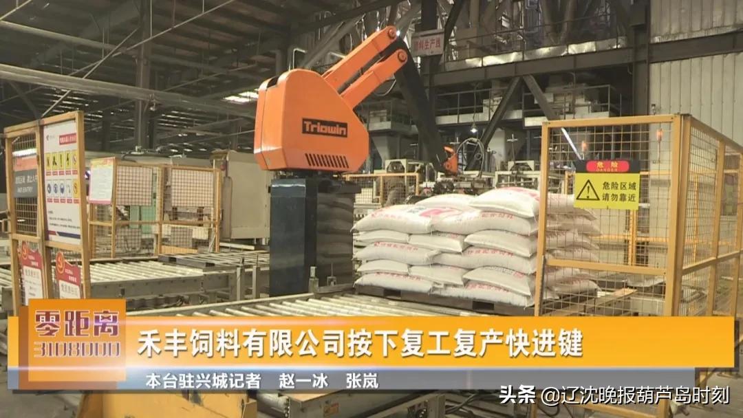 葫芦岛新闻今天,葫芦岛新闻头条今天晚上