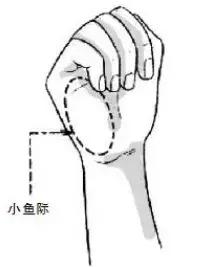 春季养肝的养生方案怎么写,春季如何养肝3个关键要记牢