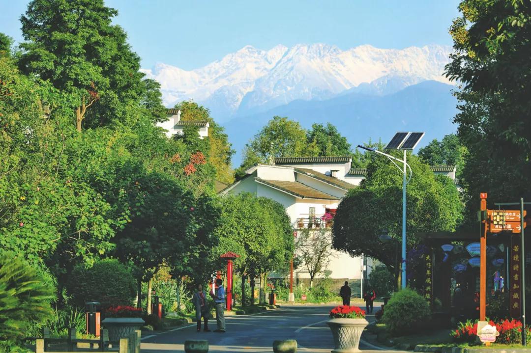 郫都区最好前三个镇排名榜,郫都区排行榜前十名