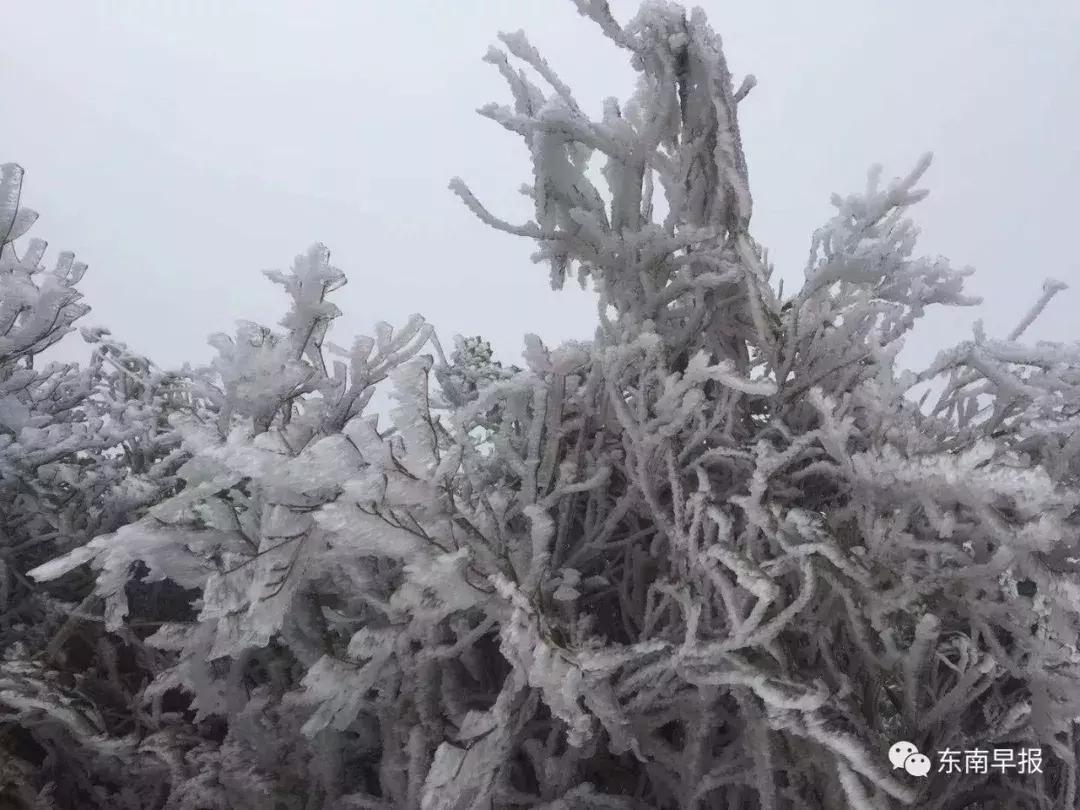 泉州九仙山下雪风景,泉州九仙山再现云海