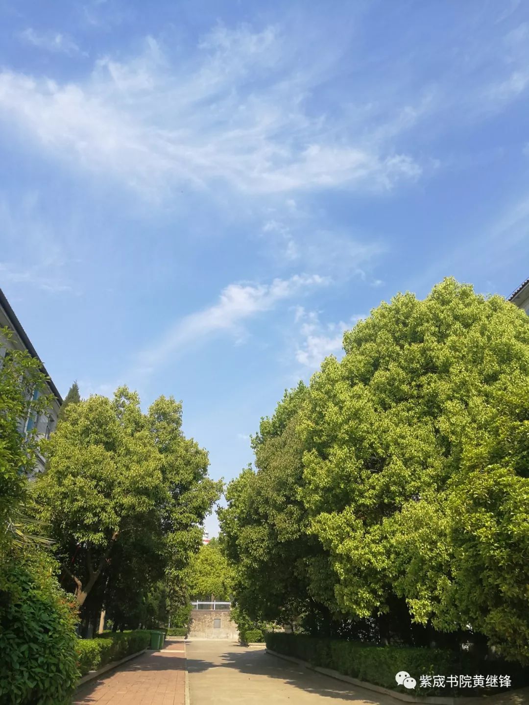 徐州三十六中图文,徐州三十六中