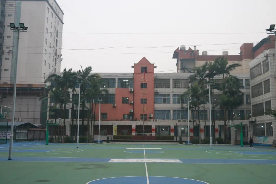 小学爱卫活动,小学开展爱国卫生月活动方案