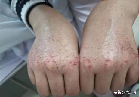 「家教知识」（转载）如果疫情是一堂课，请告诉孩子这20个字