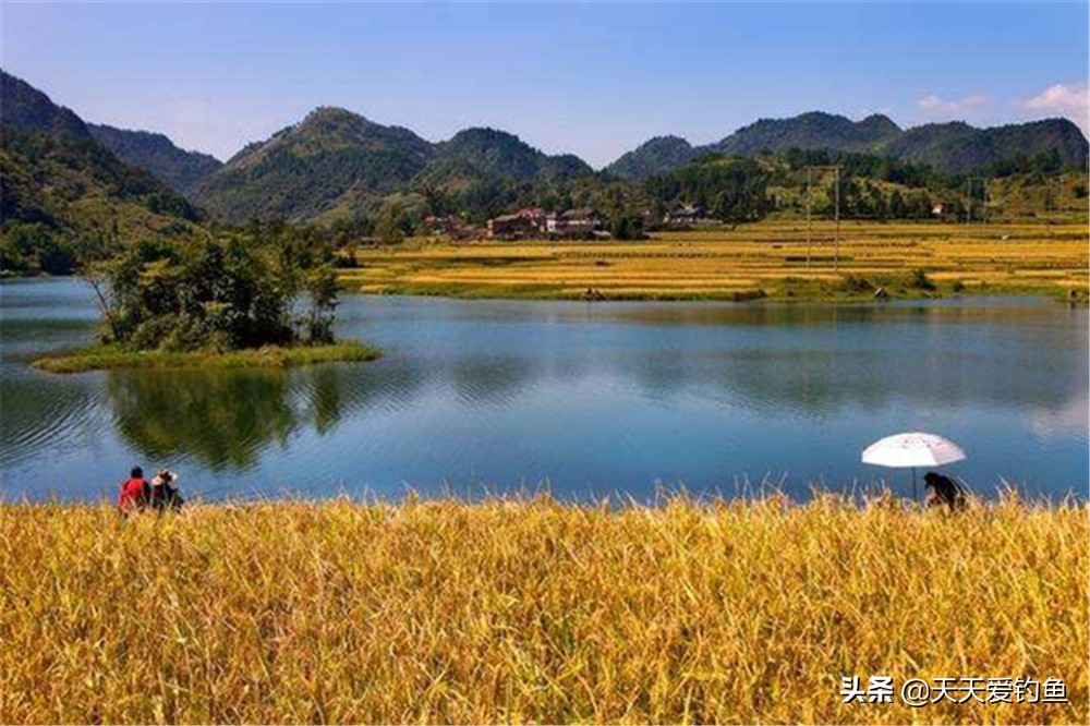 一年四季最好钓鱼的季节,一年四季钓鱼的地点