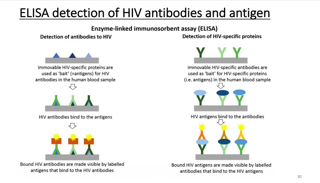 金冬雁教授对此次新冠的讲解,金冬雁新冠
