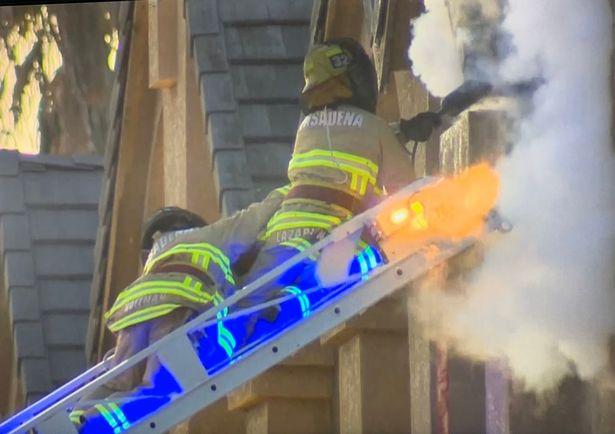 关于美国杀人蜂,杀人蜂有多可怕