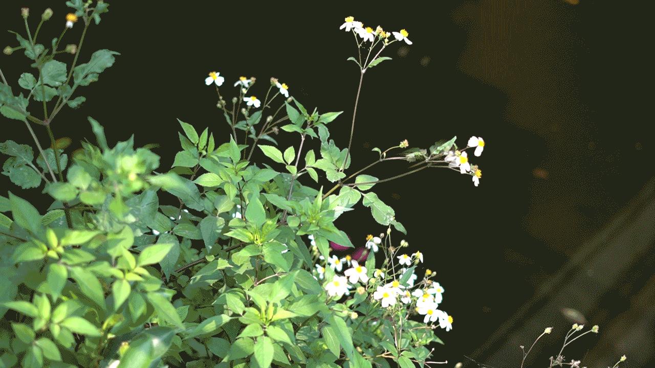 服务业的税率一般是多少,服务业税率现在是多少