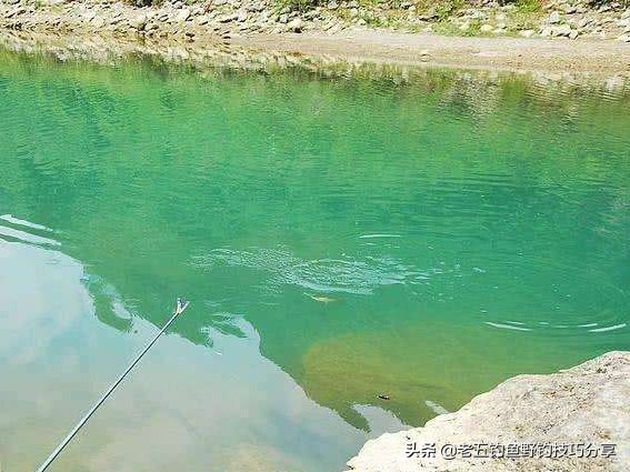 走钓守钓,走钓渔护