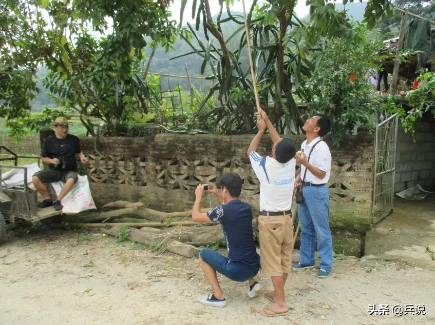 越南老兵重回当年战斗过的洞穴 (越南老兵回忆丛林战争)