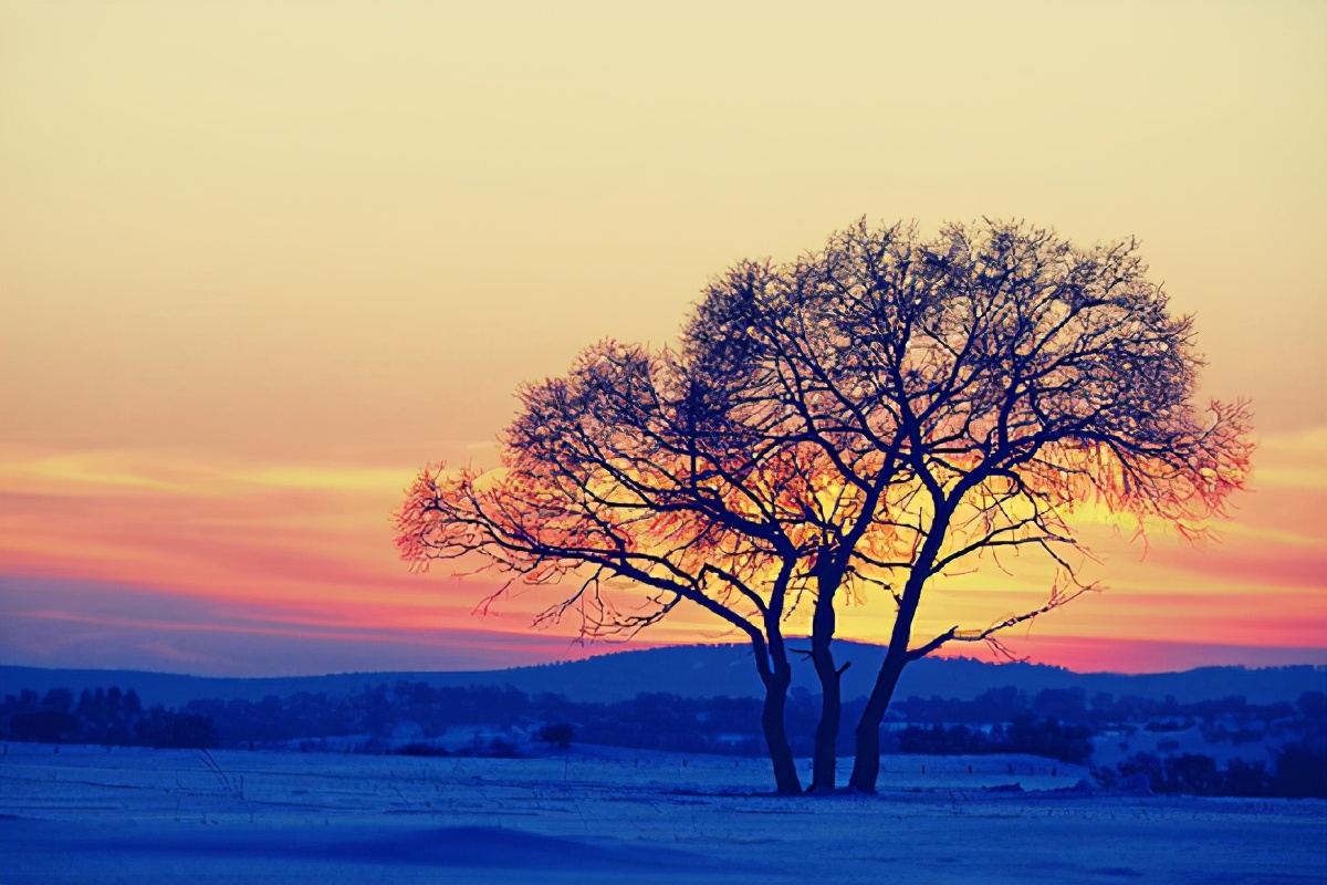 孟浩然写最著名一句诗,孟浩然写过最著名的诗句