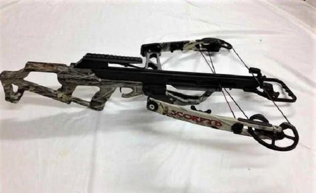 全球最好的弓弩：第2款“最变态”，轻松将野兽头骨击碎，价值5万