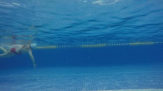 自由泳直线拉长还是对角线拉长,自由泳两次打腿和划手的配合