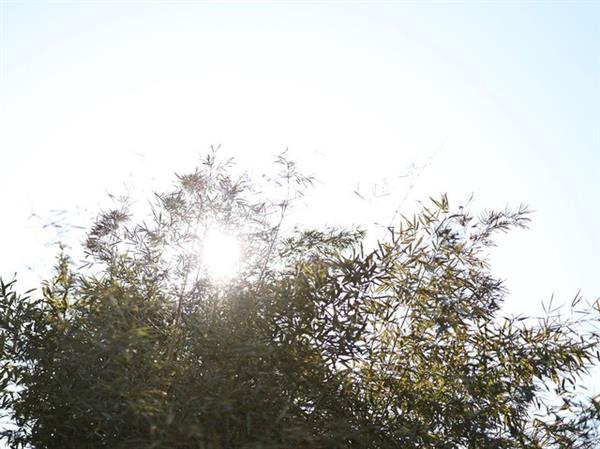 摄影术语解读大全,摄影圈名字大全