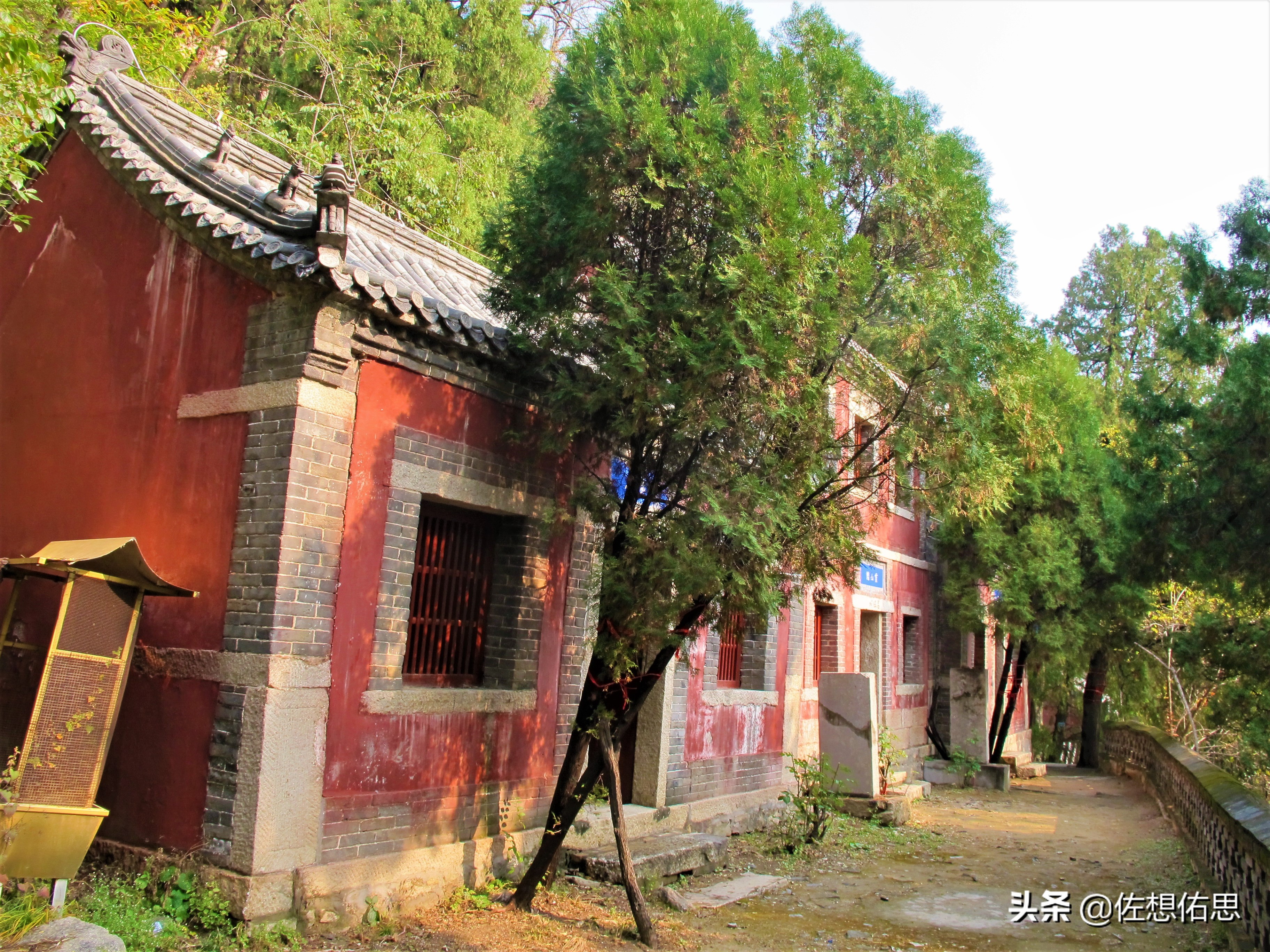 泰安扇子崖免门票吗,扇子崖门票多少钱