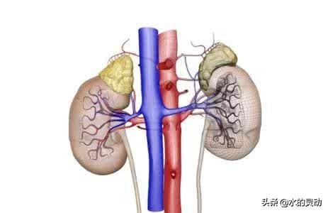 中医认为月经提前来是什么原因,中医说月经提前是什么原因