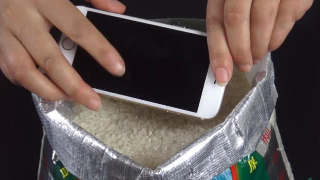 如果手机一不小心掉水里怎么办,小妙招手机掉水里了正确处理方法