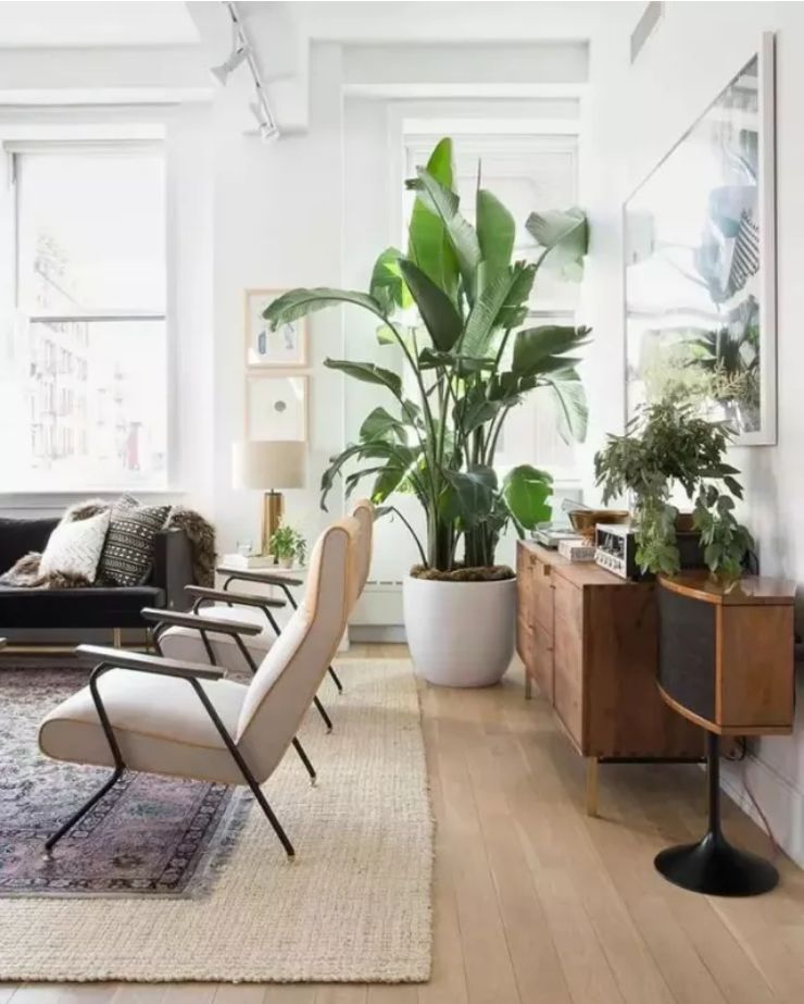 卫生间正对入户门怎么改造,入户正对卫生间门怎么改造