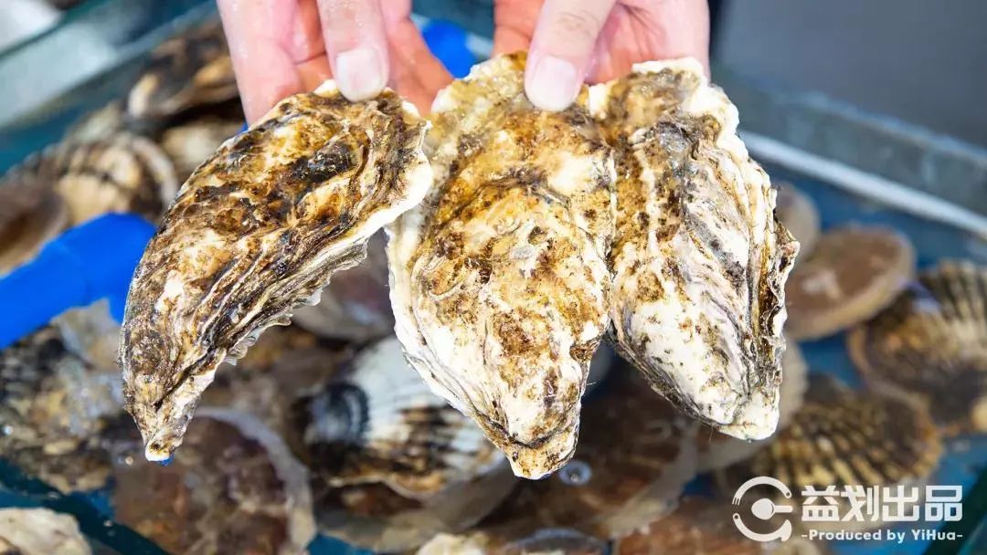 青岛人气最旺的老店,青岛市区十大必吃饭店