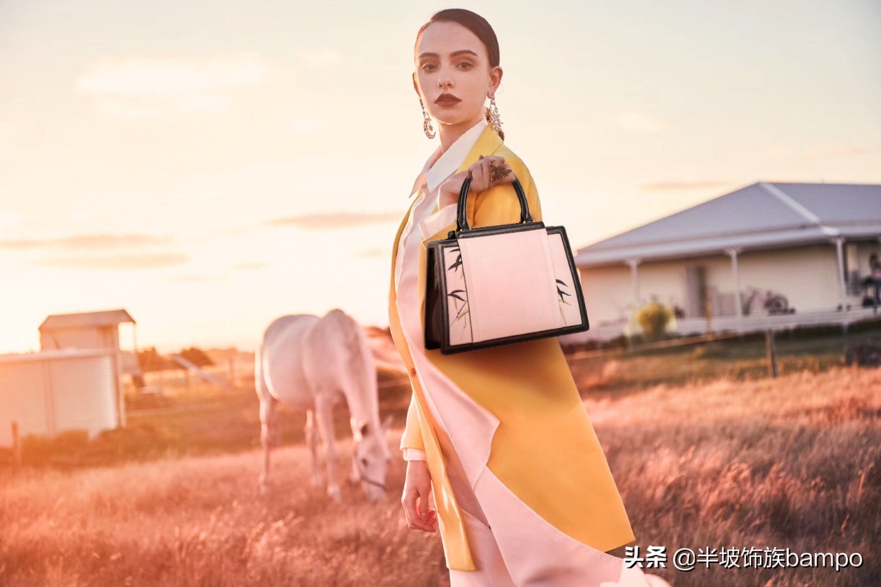 半坡饰族介绍,半坡饰族