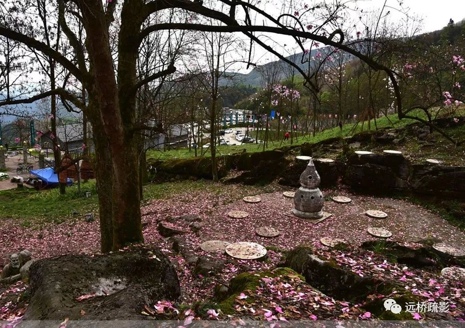 药王谷里觅旧迹（原图文）