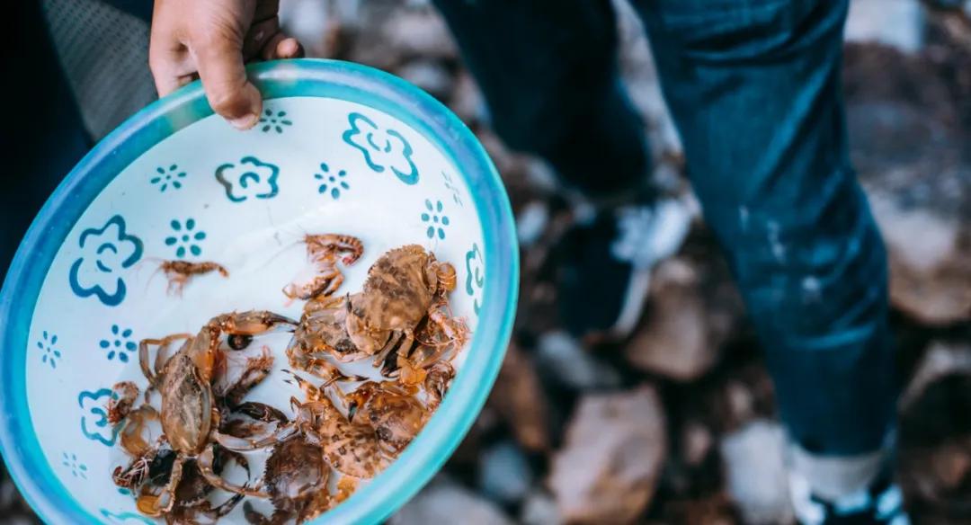 晨昏暮色正苏醒，这是我爱的舟山
