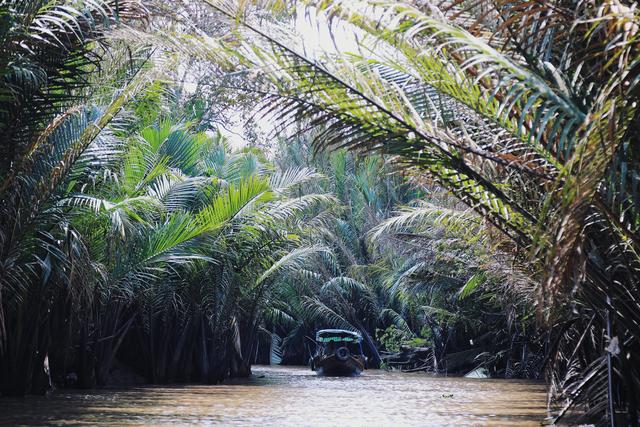 夜游湄公河在哪里看到景点,穿行在路上