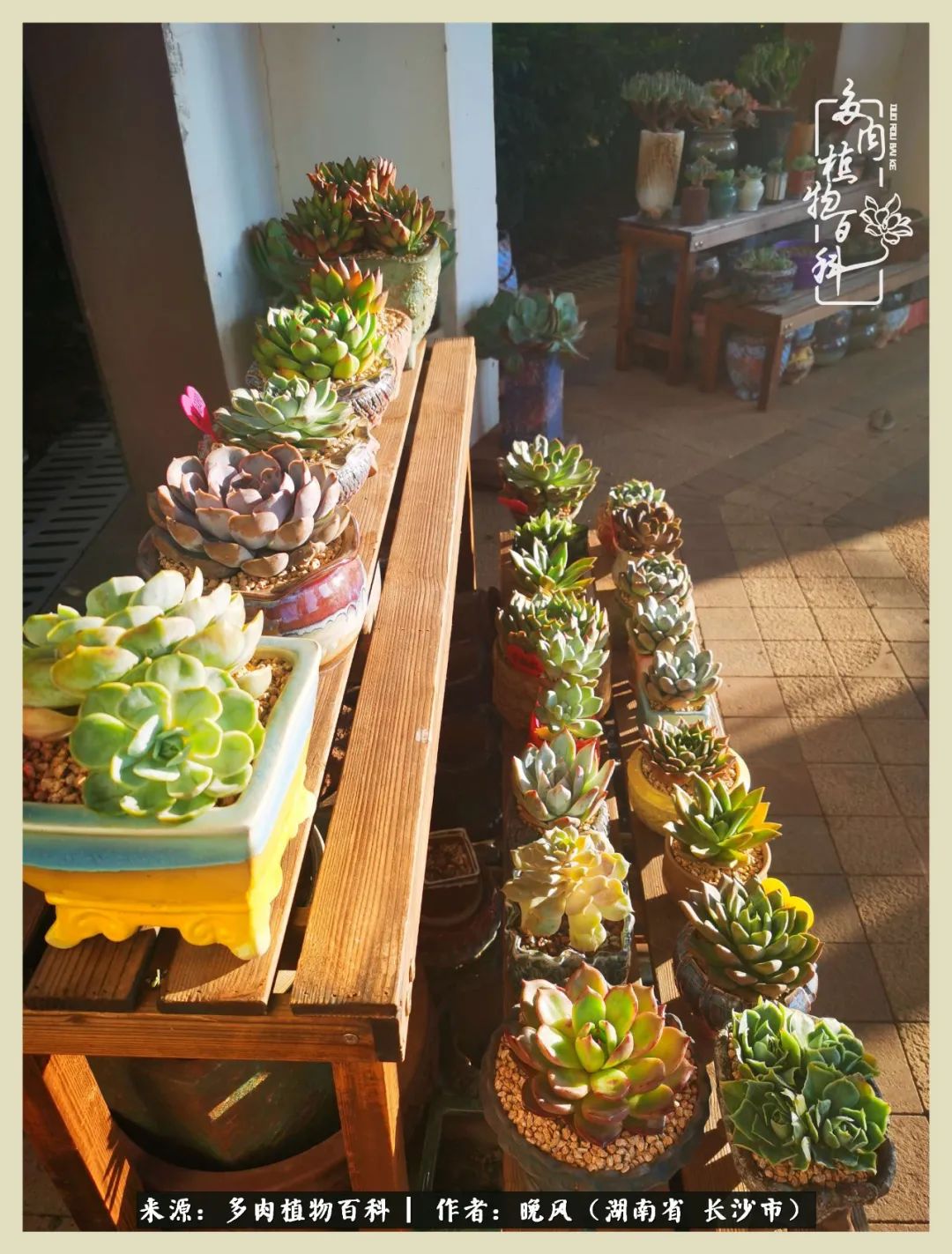 摇身一变成了奶爸,摇身一变成为打工人