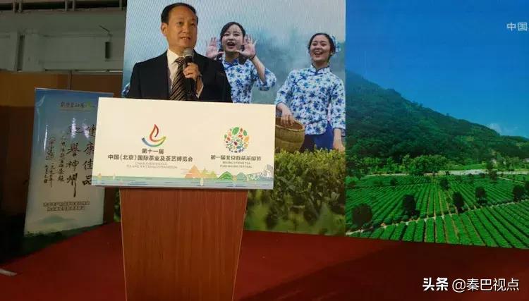 秦汉古茶价格,秦汉古茶图片